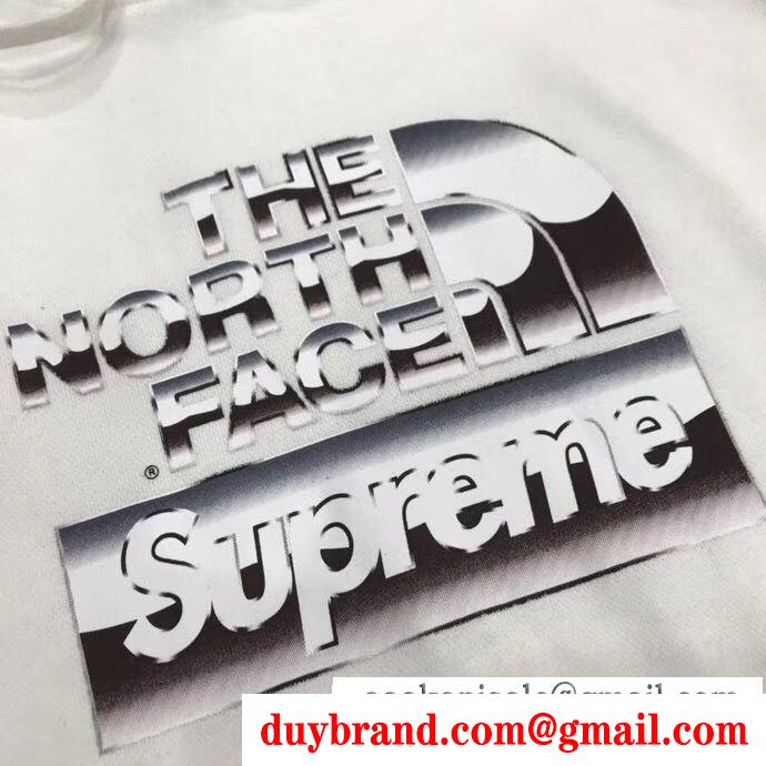 今も定番！SUPREMEシュプリーム×THE north face 18ss metallic logo hooded sweatshirtフード付きパーカーコピーブラック、ホワイト 